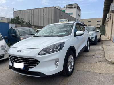 Ford Kuga 1.5 EcoBlue 120 CV aut. 2WD ST-Line Bianco usata Sassari