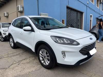Ford Kuga 1.5 EcoBlue 120 CV aut. 2WD ST-Line Bianco usata Sassari