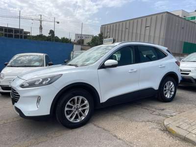 Ford Kuga 1.5 EcoBlue 120 CV aut. 2WD ST-Line Bianco usata Sassari