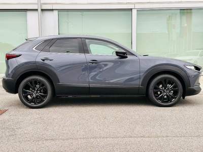 Mazda CX-30 2.5 140cv e-Skyactiv-G M Hybrid 2WD Homura MT Grigio usata Padova