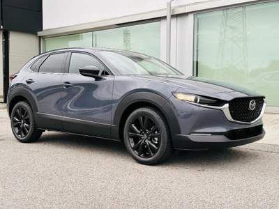 Mazda CX-30 2.5 140cv e-Skyactiv-G M Hybrid 2WD Homura MT Grigio usata Padova