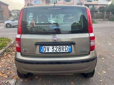 Fiat Panda 1.2 Dynamic Mamy Oro usata Lainate