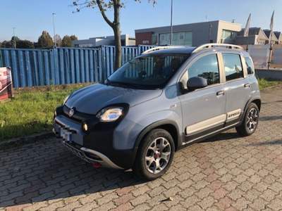 Fiat Panda City Cross 4X4, Clima Aut.Tel. bluetooth Grigio usata Rivoli