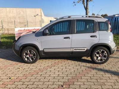 Fiat Panda City Cross 4X4, Clima Aut.Tel. bluetooth Grigio usata Rivoli