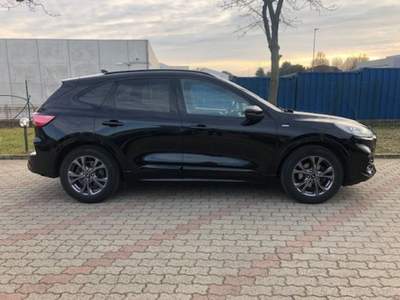 Ford Kuga 1.5 EcoBlue 120 CV aut. 2WD ST-Line Nero usata Rivoli