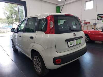 Fiat Panda 1.2 Easy NEOPATENTATI Bianco usata Nuoro