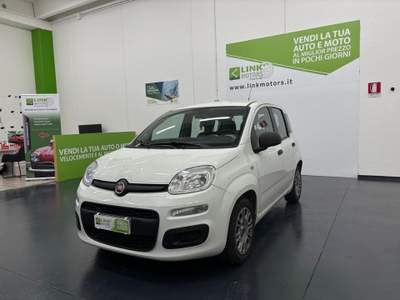 Fiat Panda 1.2 Easy NEOPATENTATI Bianco usata Nuoro