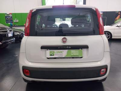 Fiat Panda 1.2 Easy NEOPATENTATI Bianco usata Nuoro