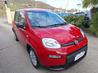 Fiat Panda 1.0 FireFly S&S Hybrid Rosso usata Grottaminarda