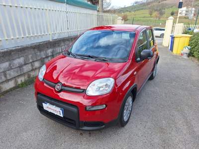 Fiat Panda 1.0 FireFly S&S Hybrid Rosso usata Grottaminarda