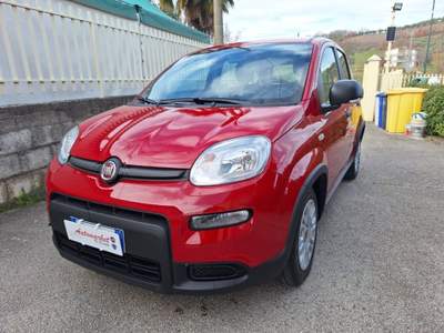 Fiat Panda 1.0 FireFly S&S Hybrid Rosso usata Grottaminarda