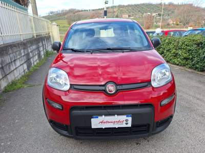 Fiat Panda 1.0 FireFly S&S Hybrid Rosso usata Grottaminarda