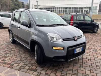 Fiat Panda 1.0 FireFly S&S Hybrid City Life Grigio usata Guarene
