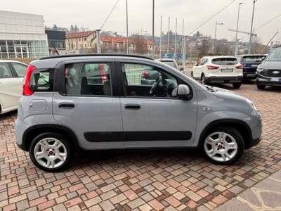 Fiat Panda 1.0 FireFly S&S Hybrid City Life Grigio usata Guarene