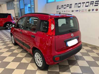 Fiat Panda 1.2 EasyPower Easy#TAGLIANDI UFFICIALI FIAT#NEOPAT Rosso usata Brugherio
