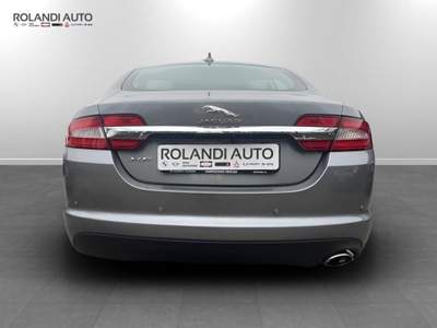 Jaguar XF 2.2d 200cv auto Grigio usata Casale Monferrato