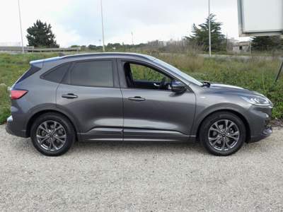 Ford Kuga 1.5 EcoBlue 120 CV 2WD ST-Line Grigio usata Ragusa