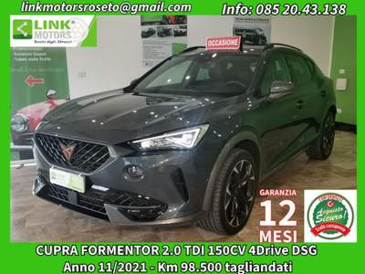 Cupra Formentor 2.0 TDI 4Drive DSG-GARANZIA 12 MESI Grigio usata Roseto degli Abruzzi