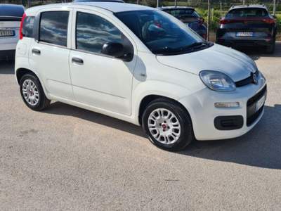 Fiat Panda 1.3 MJT 80 CV S&S Easy Bianco usata Alcamo