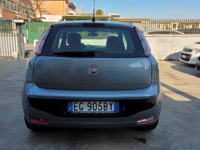 Fiat Punto Evo 1.3 Mjt 75 CV DPF 3 porte S&S MyLyfe Grigio usata Roma