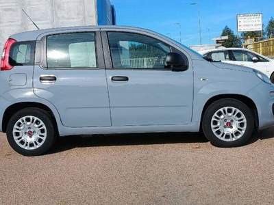 Fiat Panda 1.0 firefly hybrid s&s 70cv 5p.ti Grigio usata Tortolì