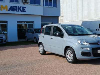 Fiat Panda 1.0 firefly hybrid s&s 70cv 5p.ti Grigio usata Tortolì