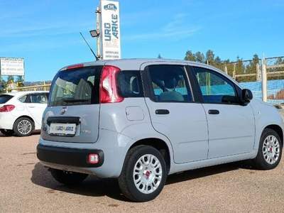 Fiat Panda 1.0 firefly hybrid s&s 70cv 5p.ti Grigio usata Tortolì