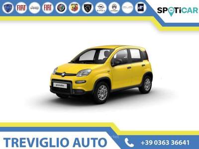 Fiat Panda 1.0 FireFly S&S Hybrid POP+ICON+PANDINA Giallo usata Fara Gera d'Adda