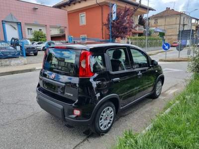 Fiat Panda 1.0 FireFly S&S Hybrid PREZZO REALE Nero usata Castiglione Torinese