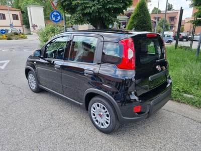 Fiat Panda 1.0 FireFly S&S Hybrid PREZZO REALE Nero usata Castiglione Torinese