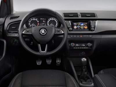 Skoda Fabia 1.0 MPI 75 CV Business Grigio usata Rovato