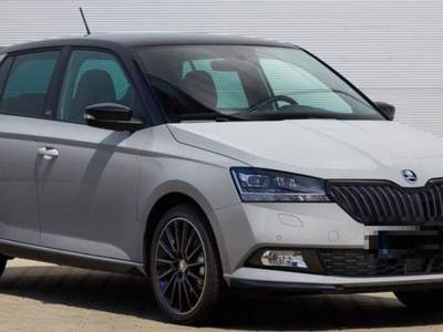Skoda Fabia 1.0 MPI 75 CV Business Grigio usata Rovato