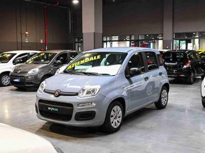 Fiat Panda 1.0 Firefly S&S Hybrid Easy Grigio usata Pianezza