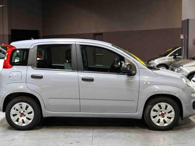 Fiat Panda 1.0 Firefly S&S Hybrid Easy Grigio usata Pianezza