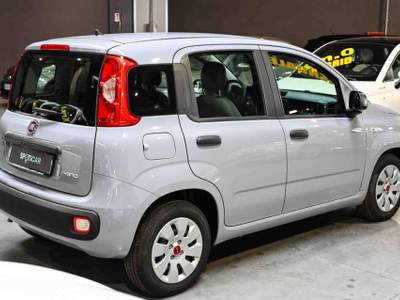 Fiat Panda 1.0 Firefly S&S Hybrid Easy Grigio usata Pianezza