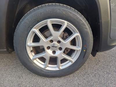 Jeep Renegade 1.6 Mjt 130 CV Limited Grigio usata ALBANO SANT'ALESSANDRO