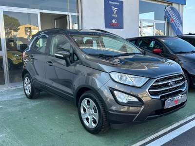 Ford EcoSport 1.0 EcoBoost 125 CV Start&Stop aut. Business Grigio usata Brolo