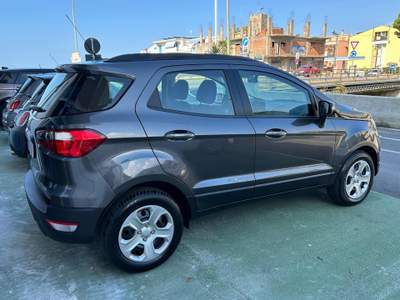 Ford EcoSport 1.0 EcoBoost 125 CV Start&Stop aut. Business Grigio usata Brolo
