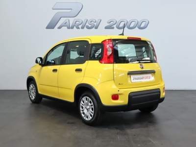 Fiat Panda 1.0 FireFly S&S Hybrid  new version 2024 Giallo usata Cinisello Balsamo