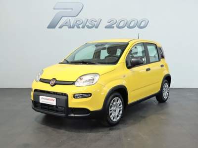 Fiat Panda 1.0 FireFly S&S Hybrid  new version 2024 Giallo usata Cinisello Balsamo