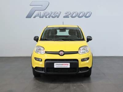 Fiat Panda 1.0 FireFly S&S Hybrid  new version 2024 Giallo usata Cinisello Balsamo