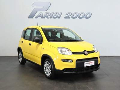 Fiat Panda 1.0 FireFly S&S Hybrid  new version 2024 Giallo usata Cinisello Balsamo