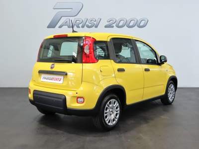 Fiat Panda 1.0 FireFly S&S Hybrid  new version 2024 Giallo usata Cinisello Balsamo
