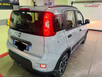 Fiat Panda Panda 1.0 FireFly S&S Hybrid Sport Grigio usata Venezia