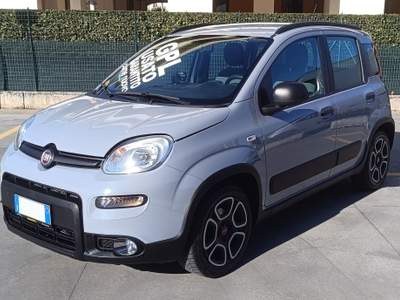 Fiat Panda 1.2 EasyPower City Life Grigio usata SORA