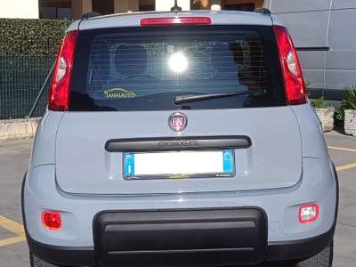 Fiat Panda 1.2 EasyPower City Life Grigio usata SORA