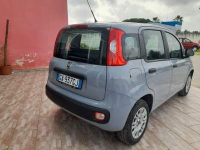 Fiat Panda 1.2 Easy Grigio usata Caprarica di Lecce