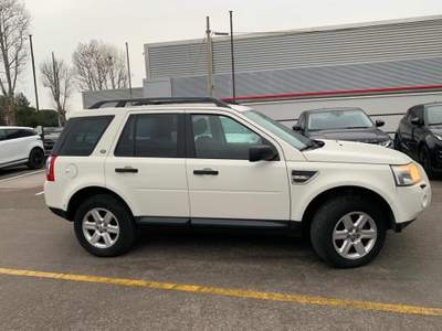 Land Rover Freelander 2.2 TD4 S.W. S Bianco usata Massarosa