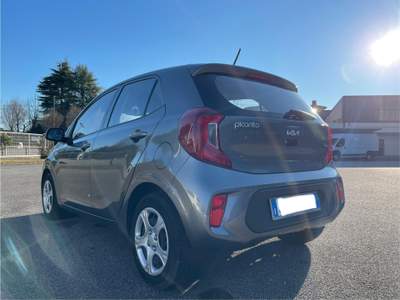 Kia Picanto 1.0 5p URBAN Grigio usata Motta di Livenza