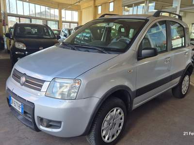 Fiat Panda Con bloccaggio differenziale usata MASSA E COZZILE